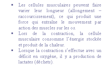 Zone de Texte: �	Les cellules musculaires peuvent faire varier leur longueur (allongement � raccourcissement), ce qui produit une force qui entra�ne le mouvement par action des muscles sur les os.
�	Lors de la contraction, la cellule musculaire consomme l��nergie stock�e et produit de la chaleur.
�	Lorsque la contraction s�effectue avec un d�ficit en oxyg�ne, il y a production de lactates (d�chets).
